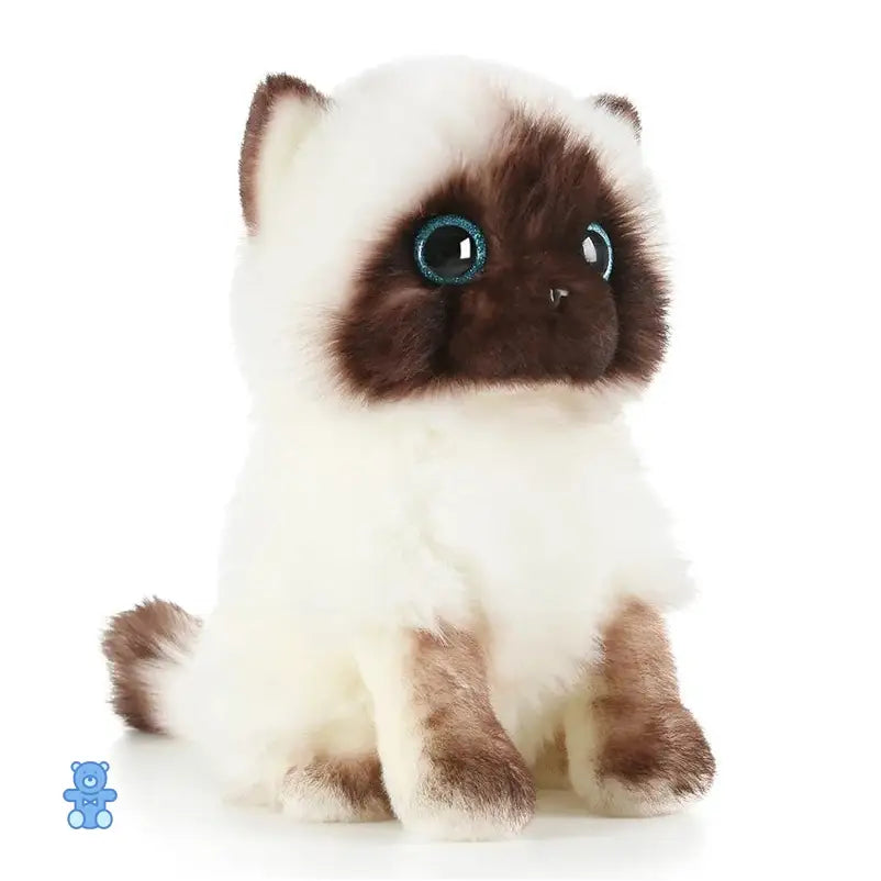 Peluche Chat Gros Yeux
