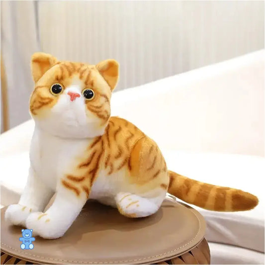 Peluche Chat Tigré