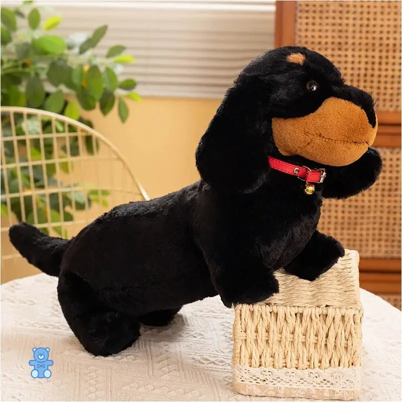 Peluche Chien Saucisse