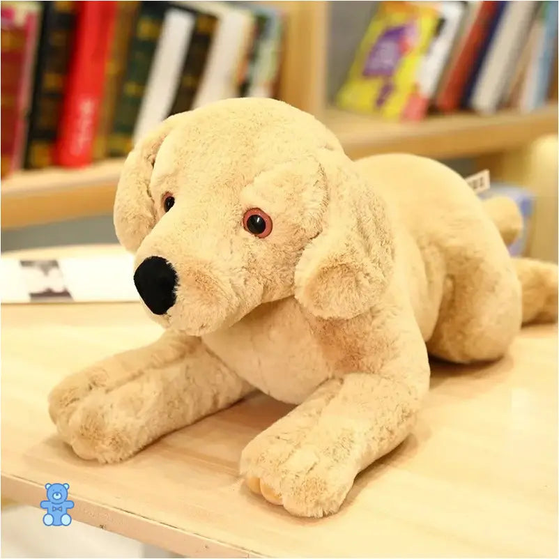 Peluche Labrador Beige
