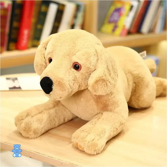 Peluche Labrador Beige