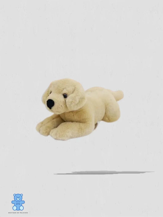 Peluche Labrador Beige