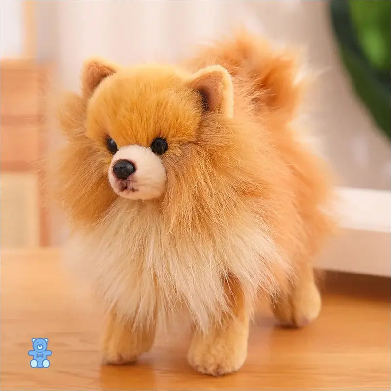 Peluche Spitz Nain